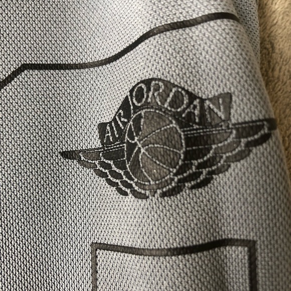 Air Jordan Dri Fit Shorts - Picture 3 of 4